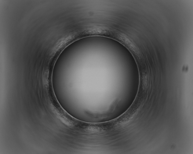 X0000091520490200708241653