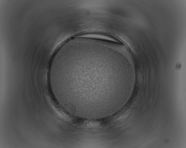 X0000091520491200708241653
