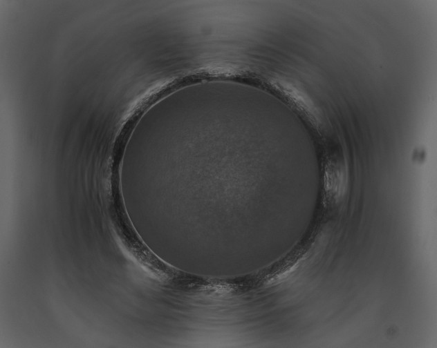 X0000091520492200708241653