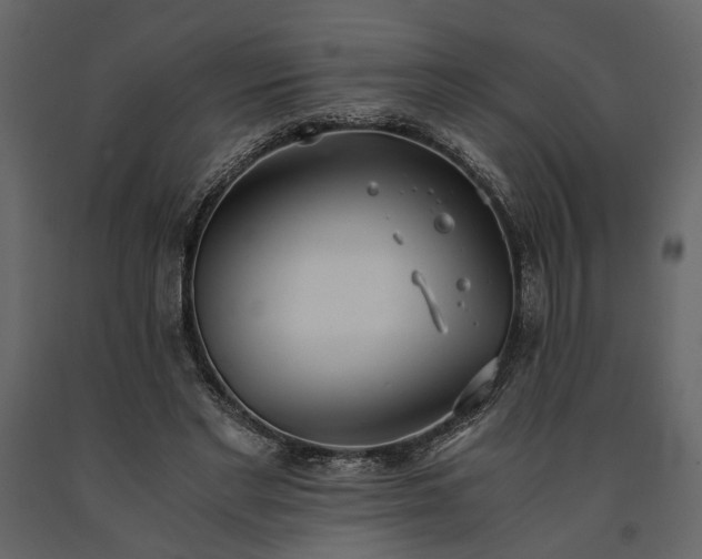 X0000091520493200708241653
