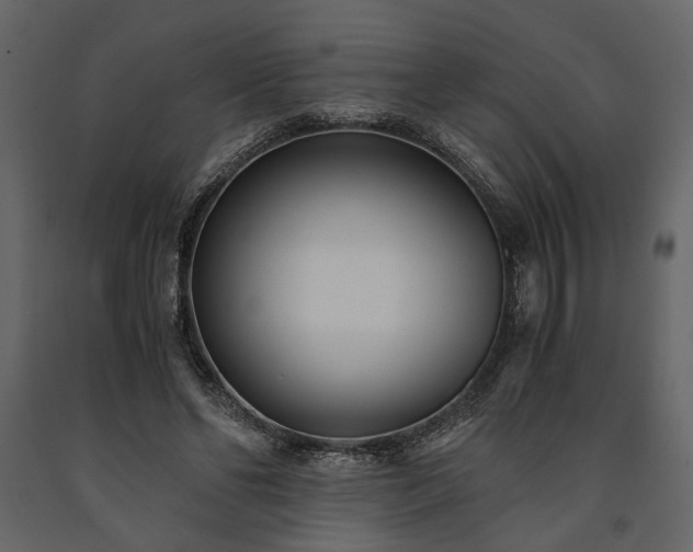 X0000091520494200708241653