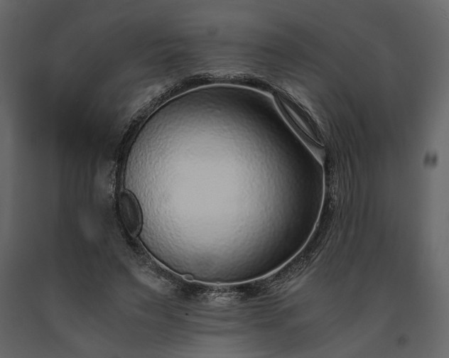 X0000091520495200708241653