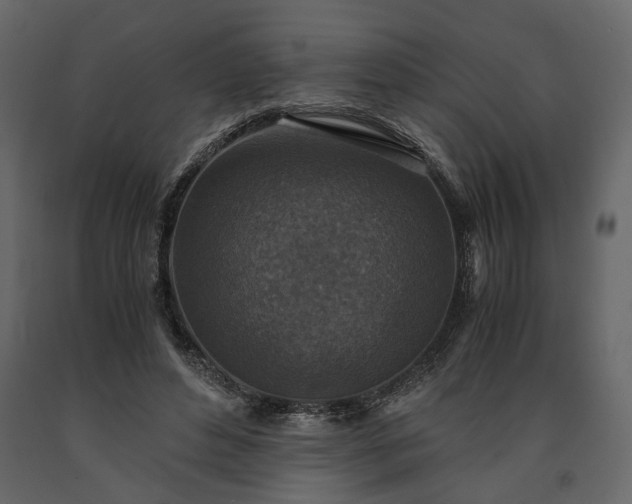 X0000091520496200708241653