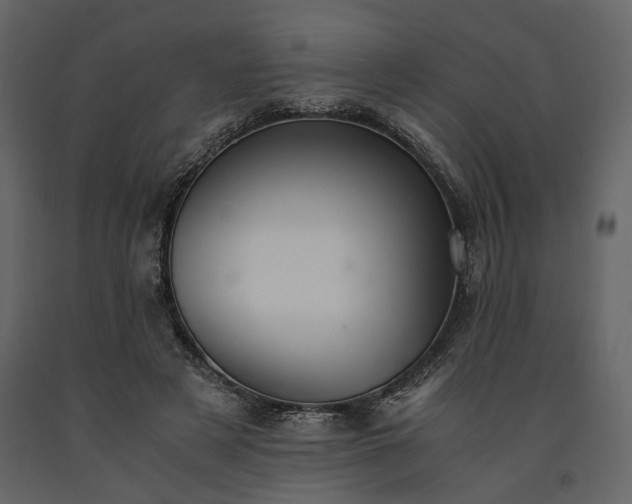 X0000091520497200708241653