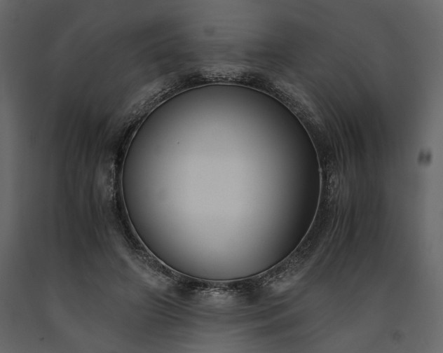 X0000091520498200708241653
