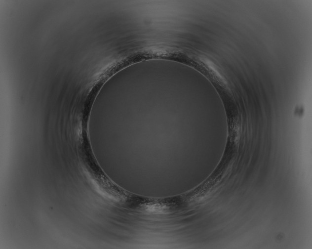 X0000091520500200708241653