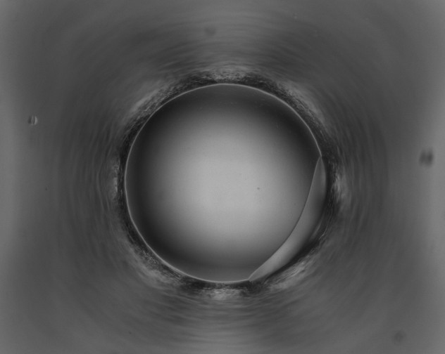 X0000091520501200708241653