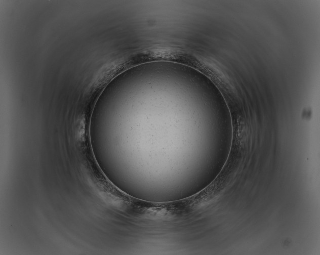 X0000091520502200708241653