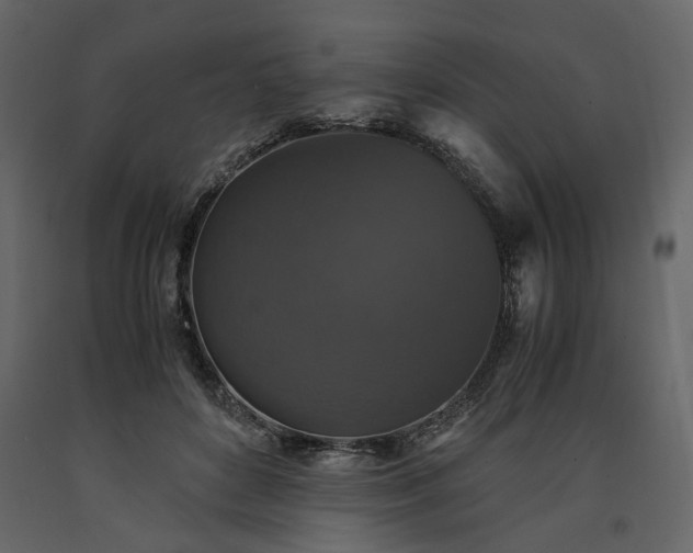 X0000091520504200708241653