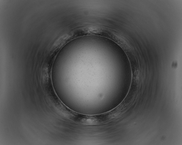 X0000091520506200708241653