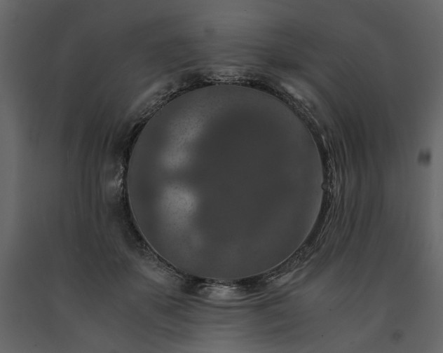 X0000091520507200708241653