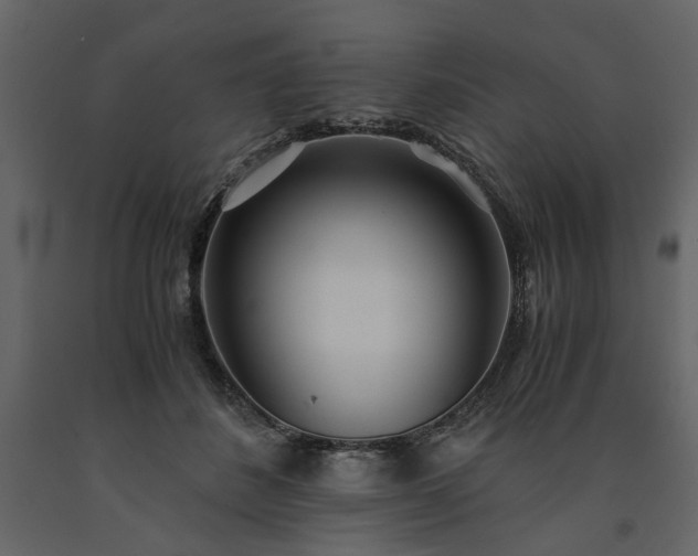 X0000091520508200708241653