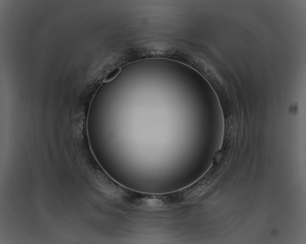 X0000091520509200708241653