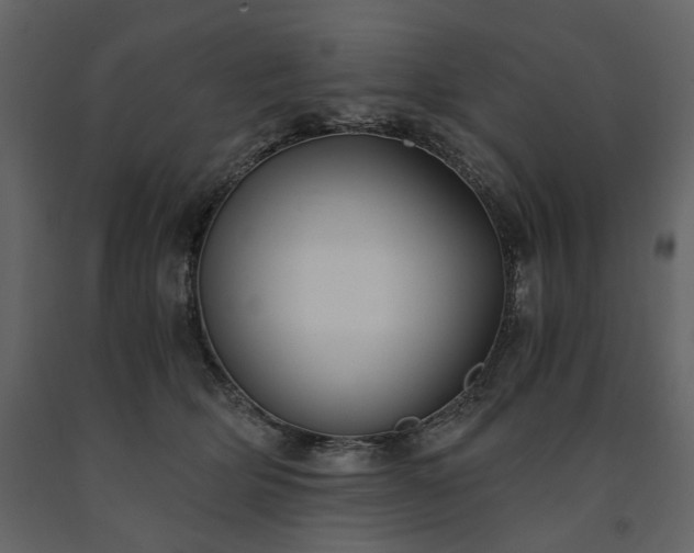 X0000091520514200708241652