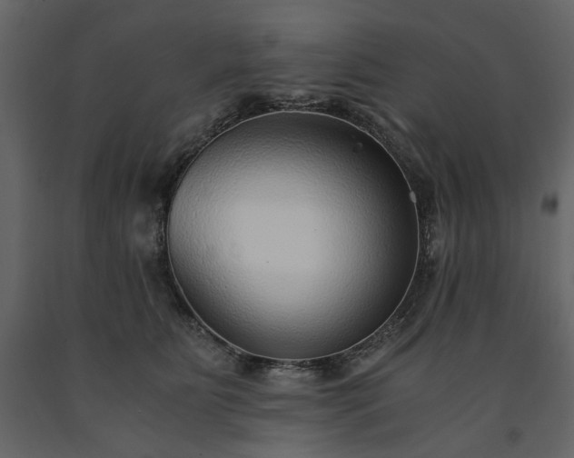 X0000091520515200708241652