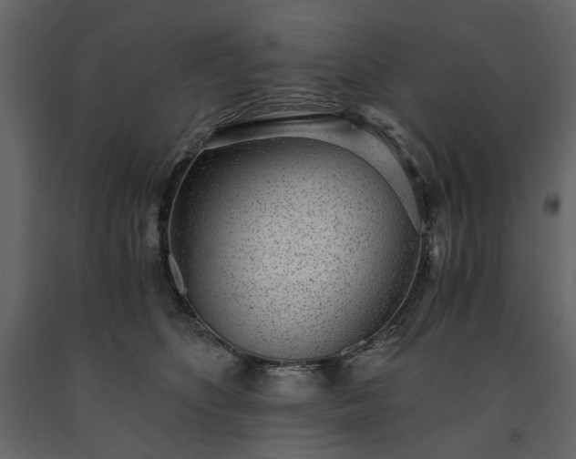 X0000091520516200708241652