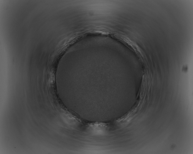 X0000091520517200708241652