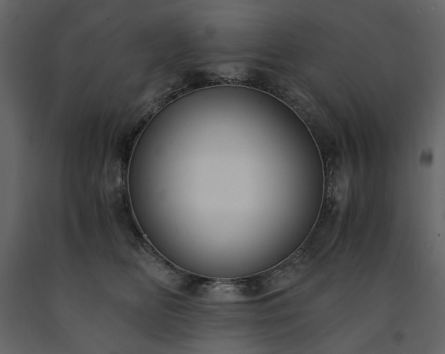 X0000091520518200708241652