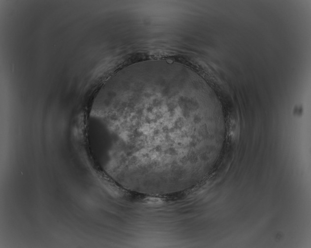 X0000091520519200708241652