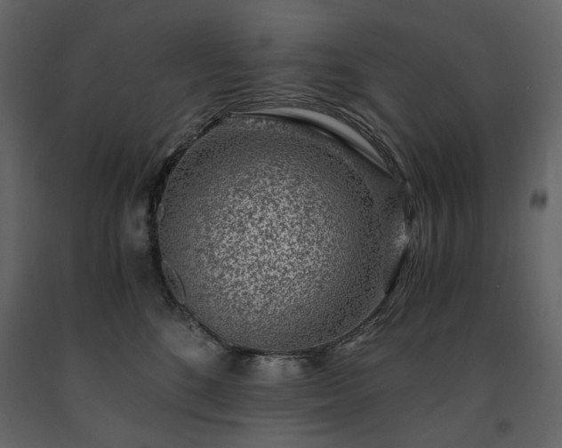 X0000091520520200708241652