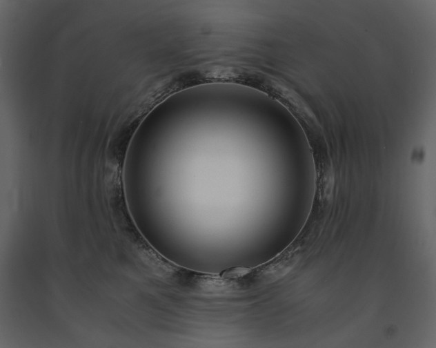 X0000091520521200708241652