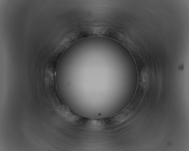 X0000091520522200708241652