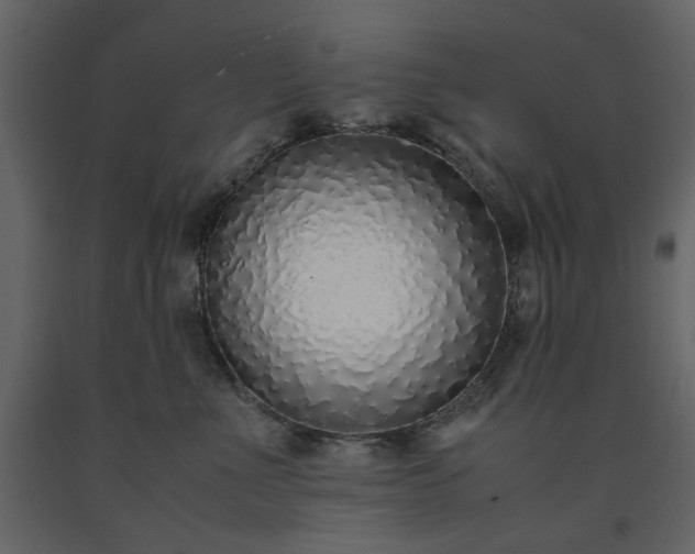 X0000091520523200708241652