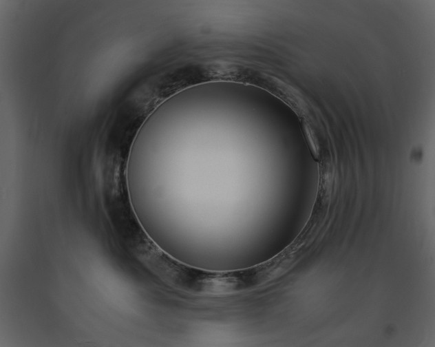 X0000091520525200708241652