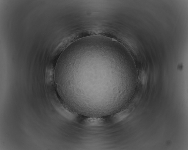 X0000091520526200708241652