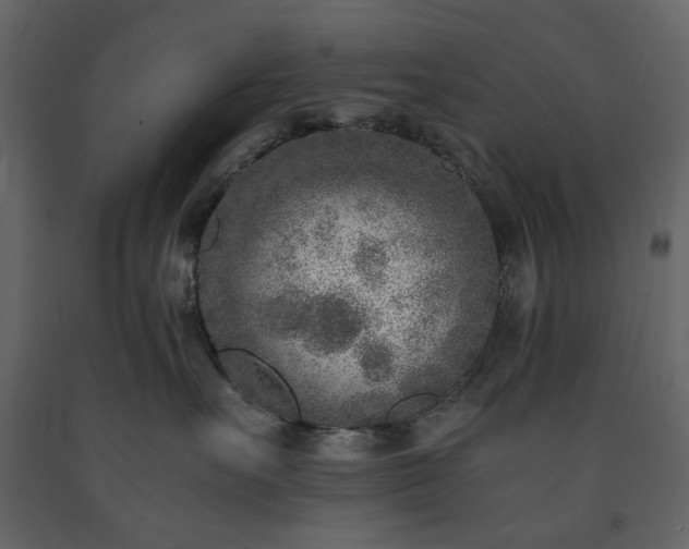 X0000091520527200708241652