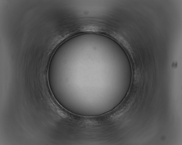 X0000091520529200708241652