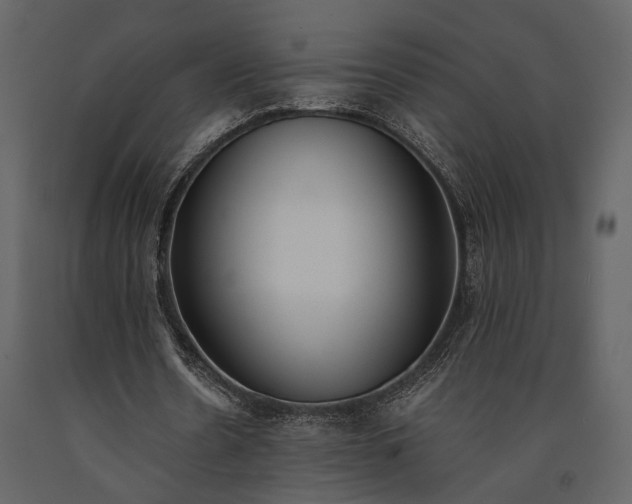 X0000091520530200708241652