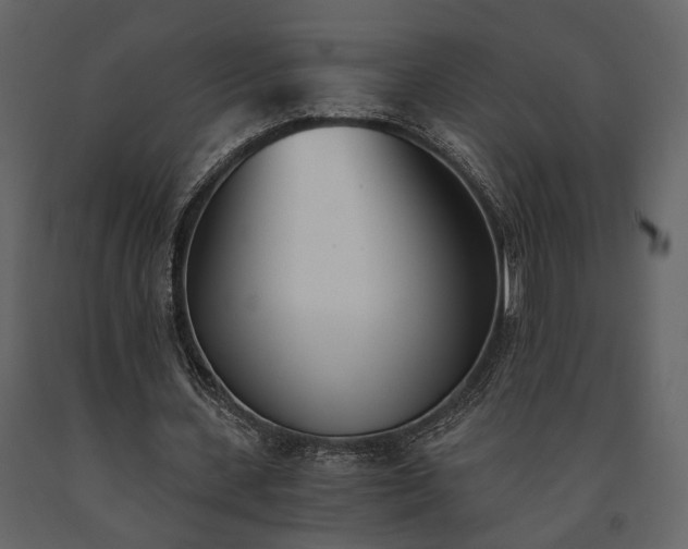 X0000091520531200708241652