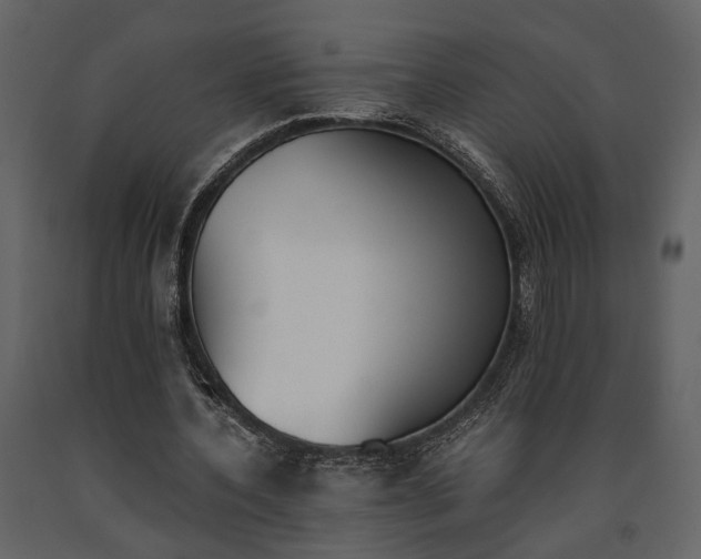 X0000091520532200708241652