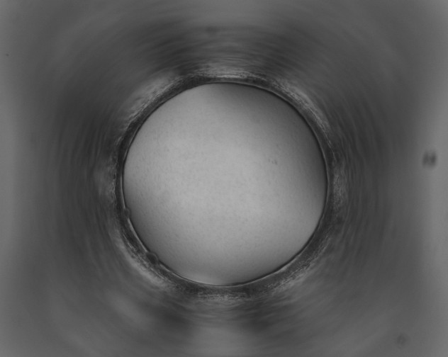X0000091520533200708241652