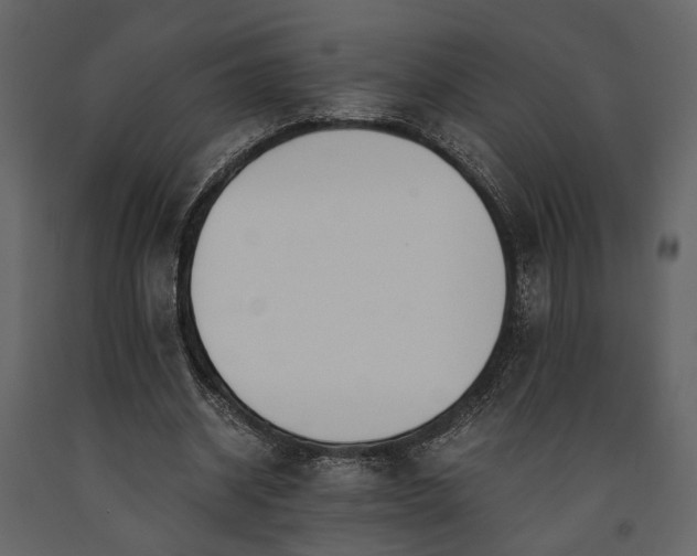 X0000091520534200708241652