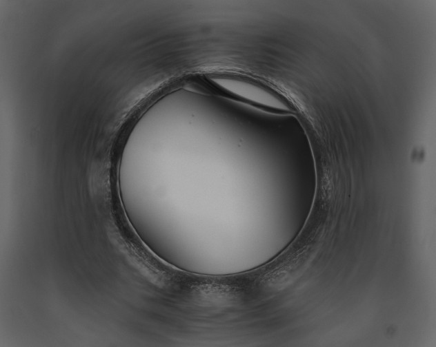 X0000091520535200708241652