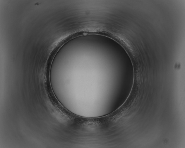 X0000091520536200708241652