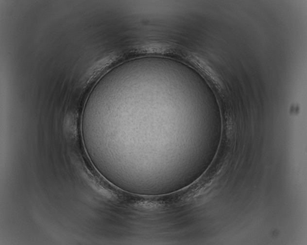 X0000091520537200708241652