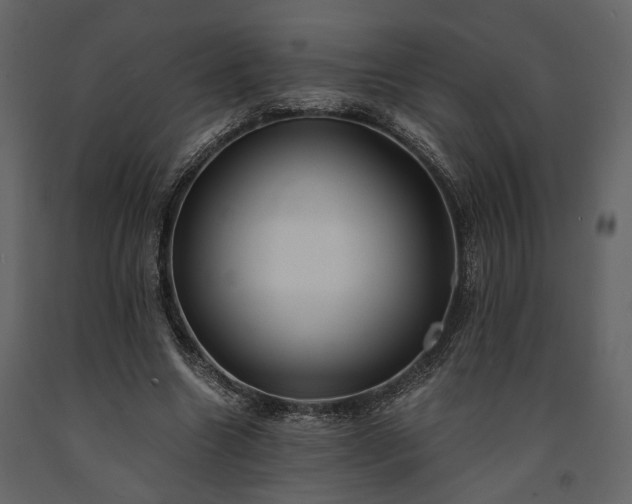 X0000091520538200708241652