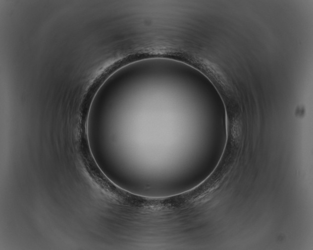 X0000091520540200708241652