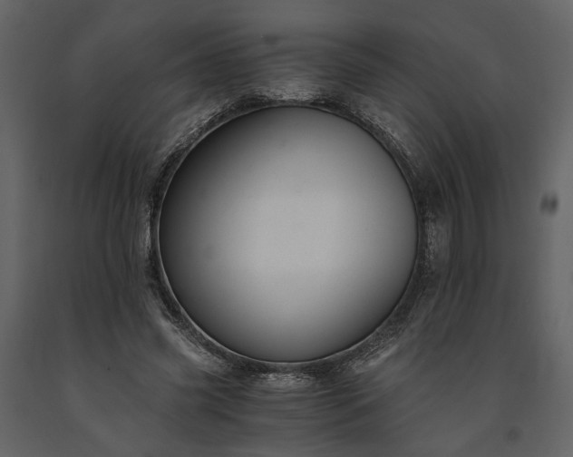 X0000091520541200708241652