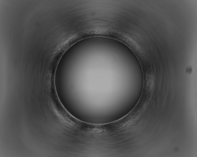 X0000091520542200708241652