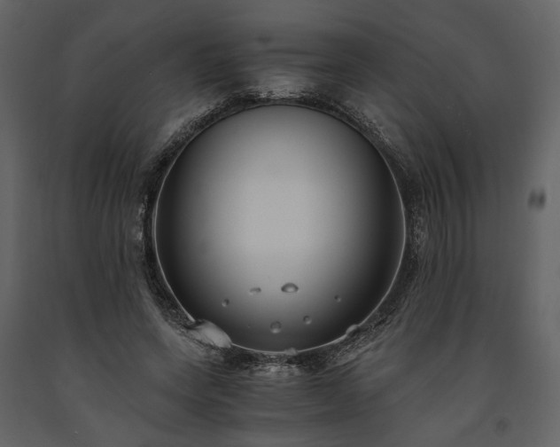 X0000091520543200708241652