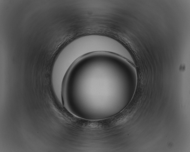 X0000091520546200708241652