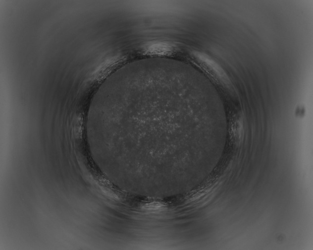 X0000091520551200708241652