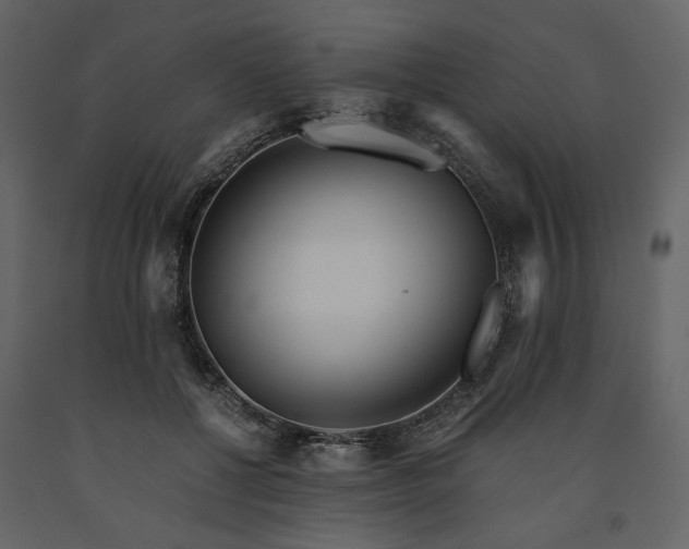 X0000091520552200708241652
