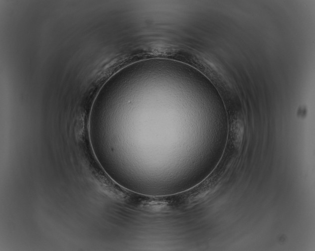 X0000091520554200708241652