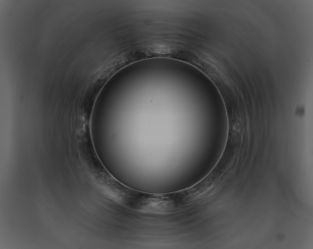 X0000091520555200708241652