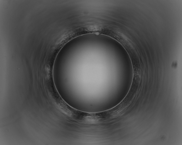 X0000091520556200708241652